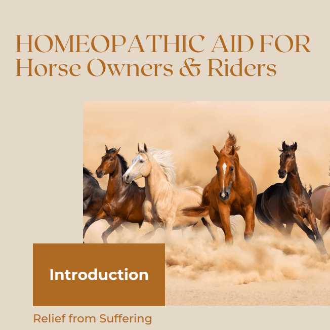 HOMEOPATHIC AID FOR Horse Owners & Riders
